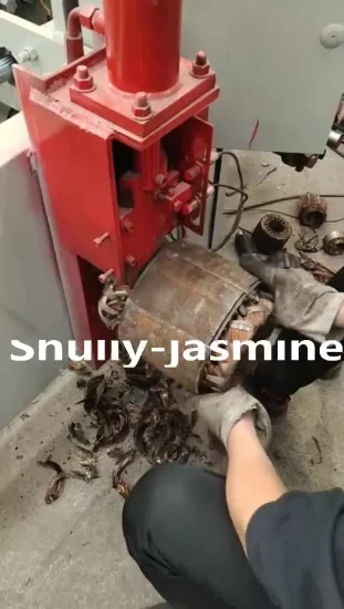 Electrical Dismantling Equipment Electric Waste Motor Recycling Machine for Sale